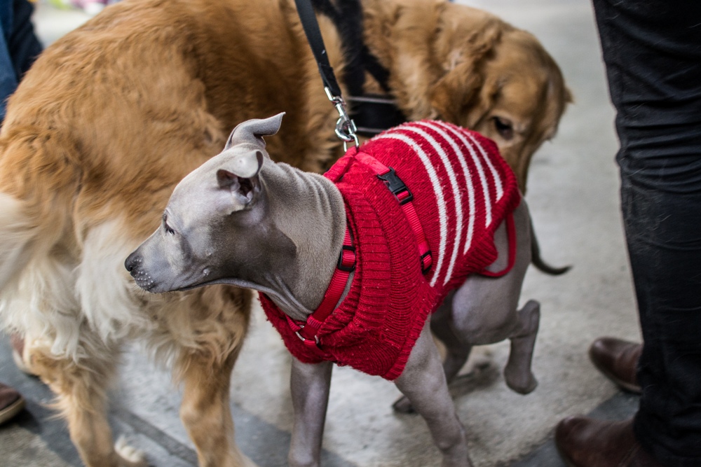 PSOTY w Szybie Wilson 11