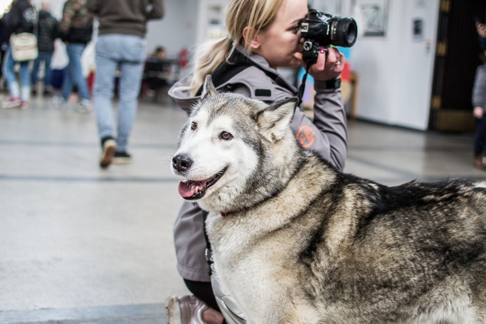 PSOTY w Szybie Wilson 35