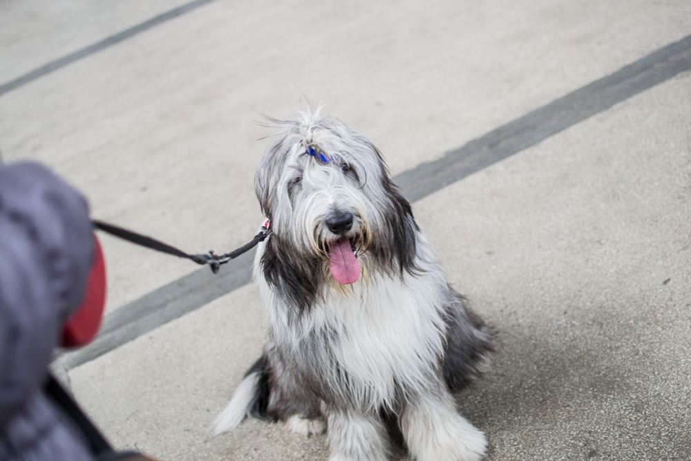 PSOTY w Szybie Wilson 37