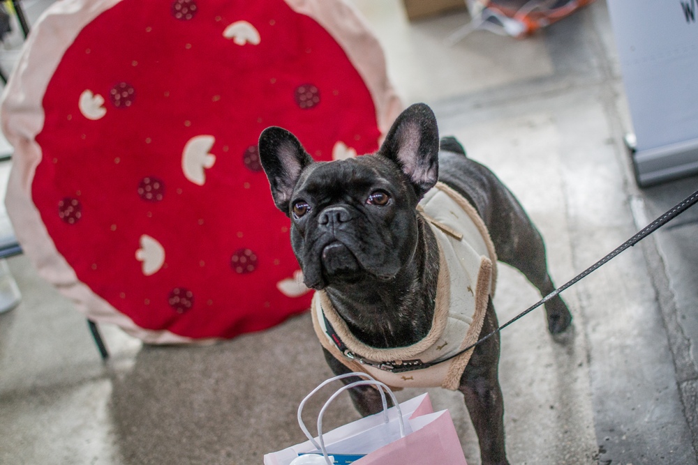 PSOTY w Szybie Wilson 43