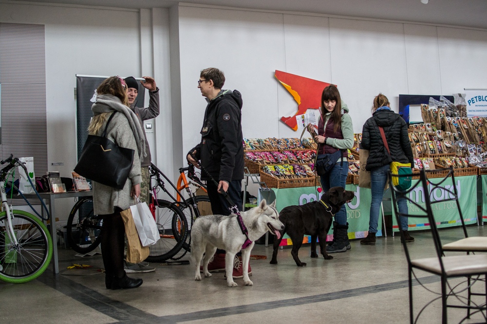 PSOTY w Szybie Wilson 44