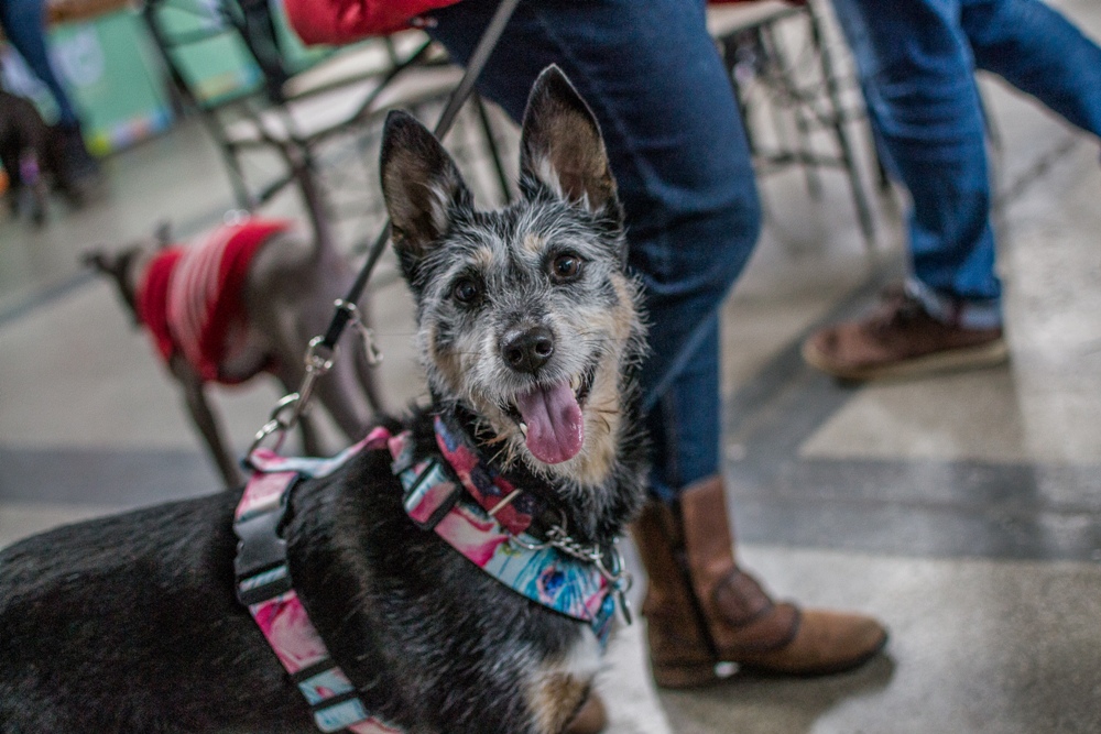 PSOTY w Szybie Wilson 45