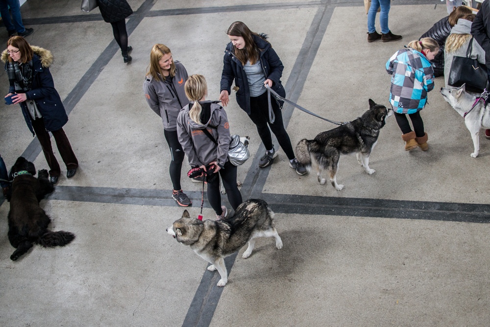 PSOTY w Szybie Wilson 47