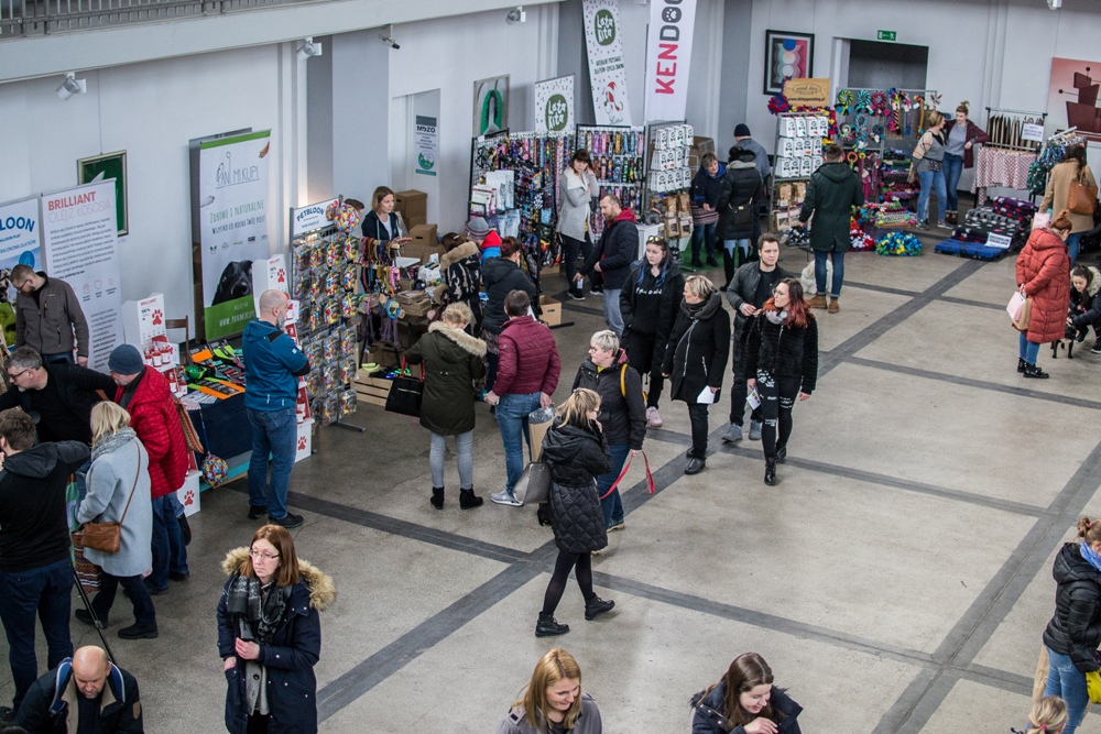 PSOTY w Szybie Wilson, czyli psio-kocie targi [ZDJĘCIA + FILM]