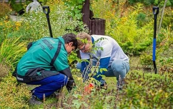 Świętochłowice otwarte na osoby z niepełnosprawnością w pracy w strukturach miasta