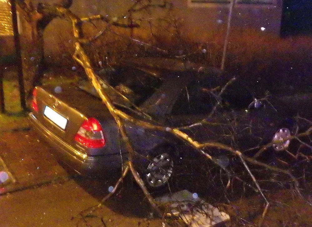 Bilans weekendowej wichury w Świętochłowicach. Straż pożarna interweniowała 5-krotnie