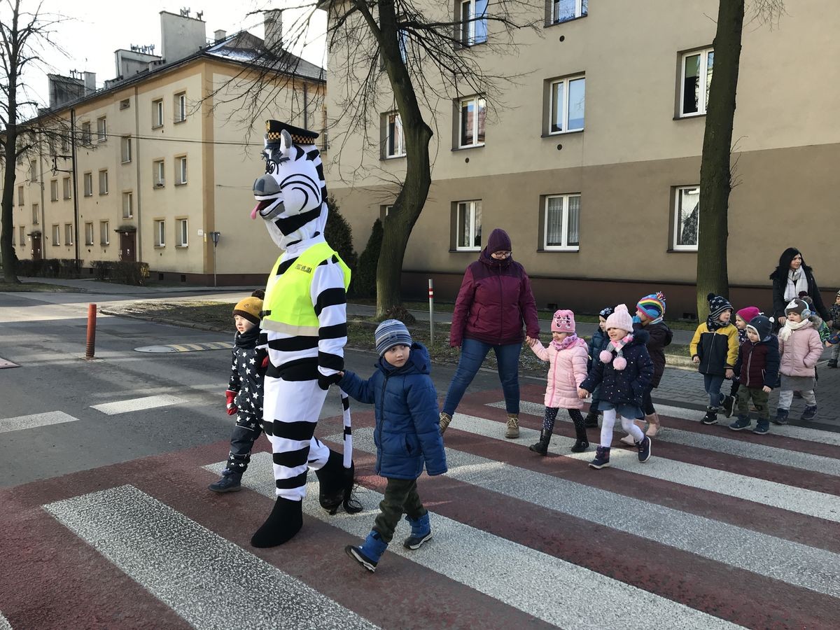 Zebra została strażniczką...Straż Miejska w Chorzowie ma swoją maskotkę!