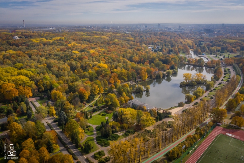 Szukamy jesieni w Parku Śląskim - ruszyły zapisy na warsztaty!