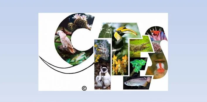 Prelekcja o międzynarodowym handlu dzikimi zwierzętami i roślinami na Arenie Zabrze