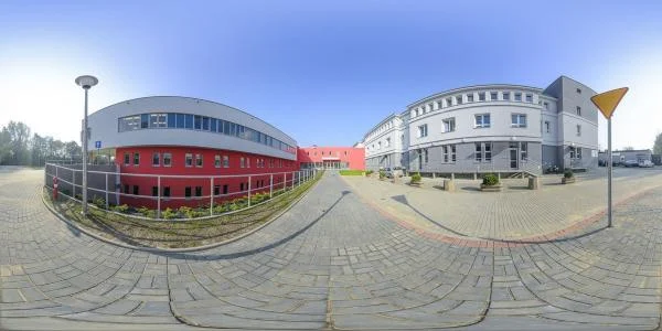 W Zabrzu odbędzie się Śląski Tydzień Świadomości Endometriozy