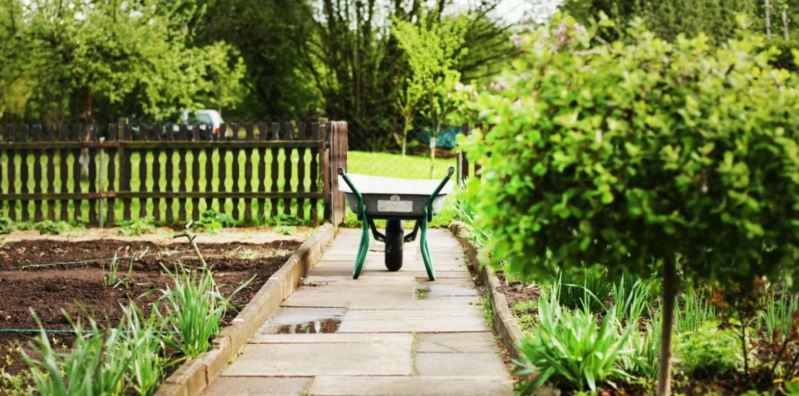 150 tys. zł dotacji dla działkowców