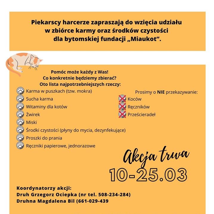 Piekarscy harcerze pomagają bezdomnym zwierzętom