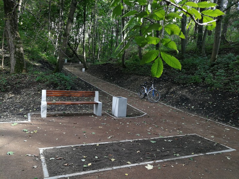 Park Ludowy znowu będzie piękny