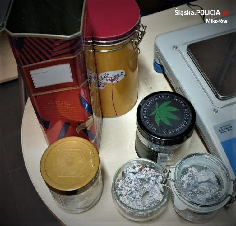 6 osób zatrzymanych, jedna usłyszała zarzuty posiadania znacznych ilości narkotyków