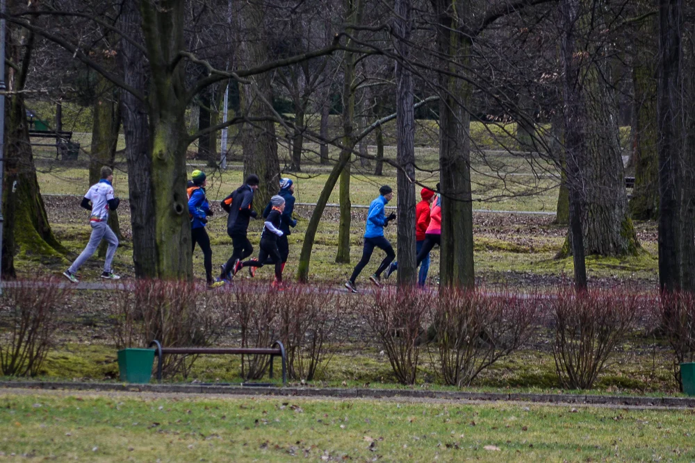 200. parkrun Katowice 51
