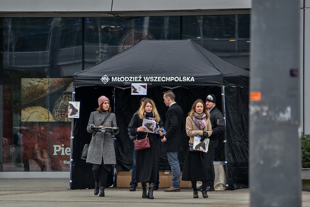 Śląska Manifa 2020 22