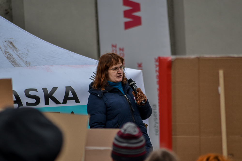 Śląska Manifa 2020 24