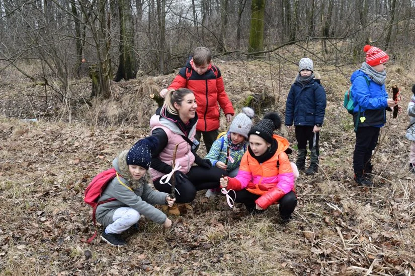 Dzieci z ZSP nr 7 w Żorach sprawdzają, o czym szumi las