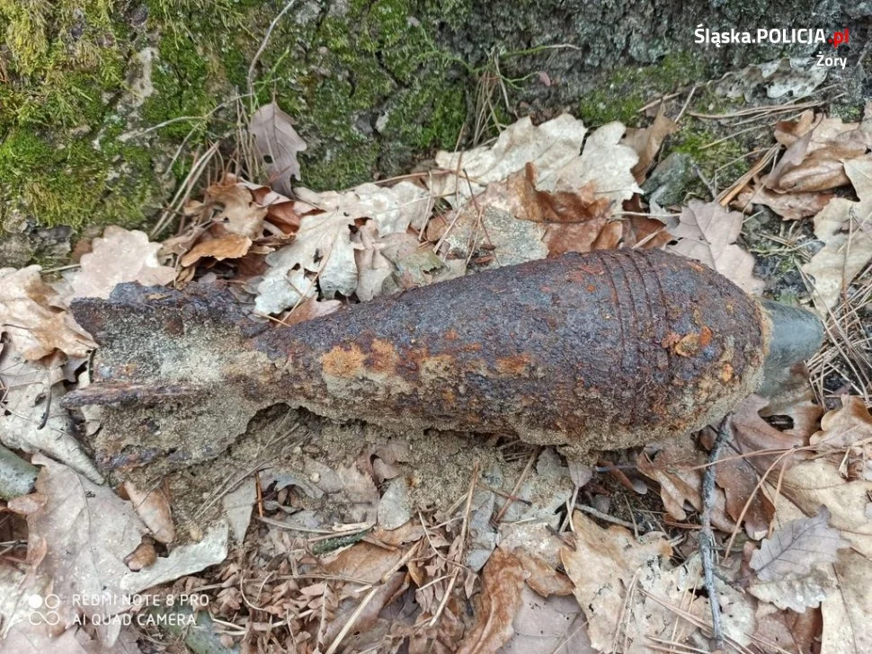 Granat moździerzowy w żorskim lesie. Jak się zachować w przypadku znalezienia niewybuchu?