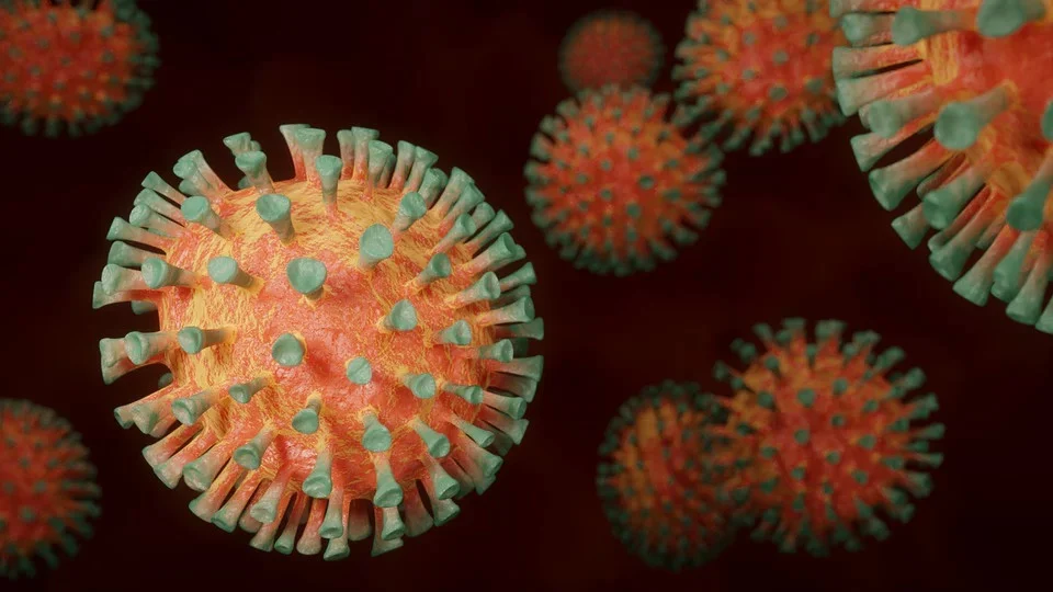 Trzy nowe ogniska epidemii w Polsce, w tym dwa na Śląsku. MZ komentuje