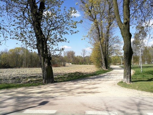 W Siemianowicach Śląskich niebawem powstanie nowe miejsce zabaw dla czworonogów
