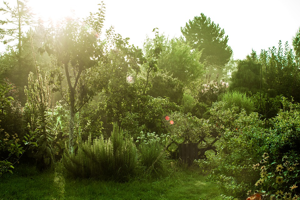 Zadbajmy o bezpieczeństwo swoich ogródków działkowych