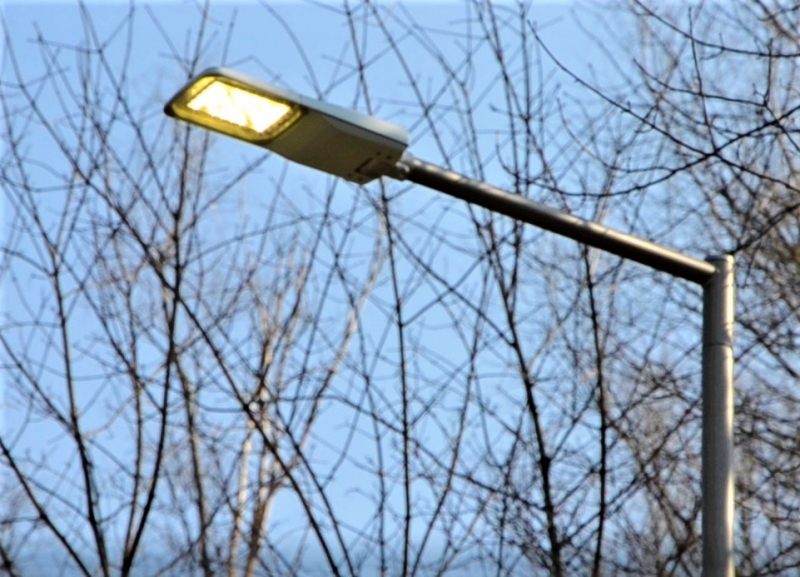 Aleja Leśna w Parku Śląskim w pełni oświetlona