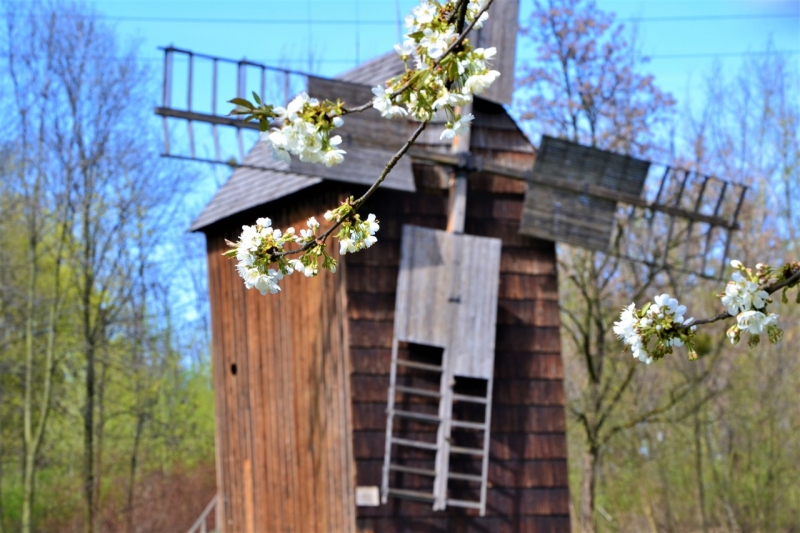 Skansen szykuje się na otwarcie [WIDEO, ZDJĘCIA]