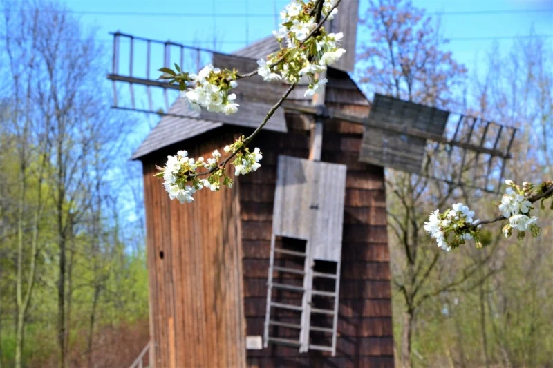 Skansen szykuje się na otwarcie [WIDEO, ZDJĘCIA]