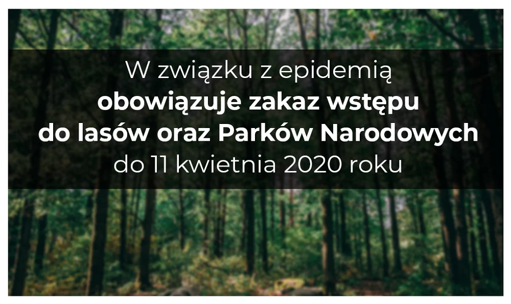 Lasy Państwowe wprowadziły tymczasowy zakaz wstępu do lasu!