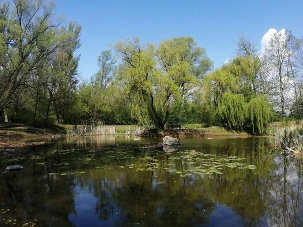 W Miejskim Ogrodzie Botanicznym trwają przygotowania do nowego sezonu [ZDJĘCIA]