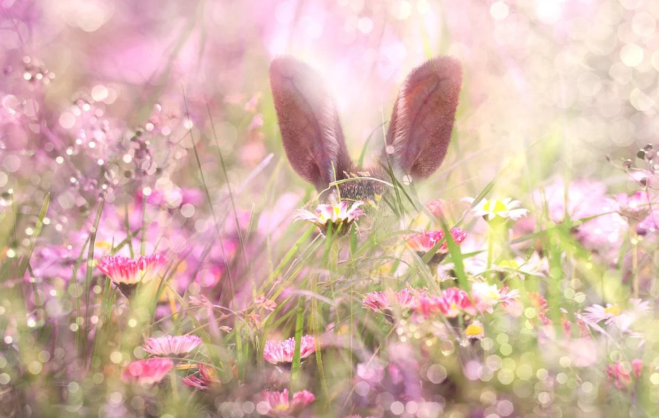 Radosnych Świąt Wielkanocnych!