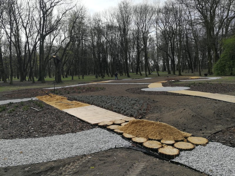 Ogród sensoryczny i nowe alejki w Parku Górnik