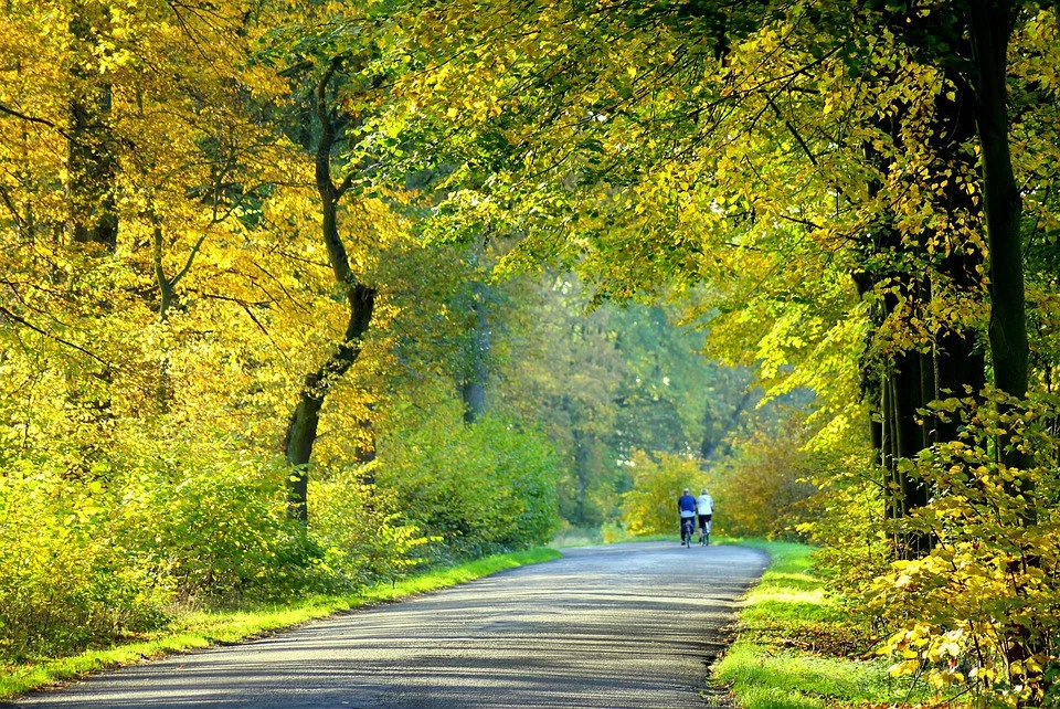 Rowerzysta na drodze - podstawowe zasady