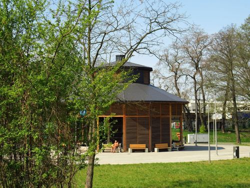 Rybnik: Budżet Obywatelski w czasach pandemii