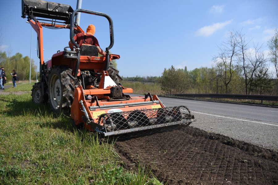 W Bytomiu powstają dwie łąki kwietne