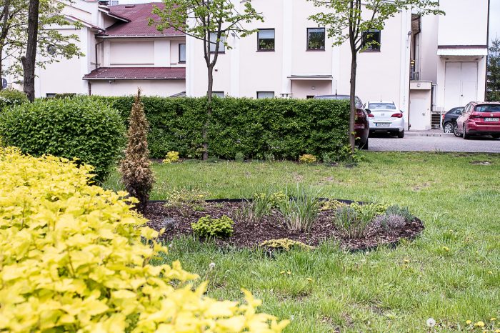 "Przynieś roślinkę do teatru" - akcja Teatru Zagłębia!