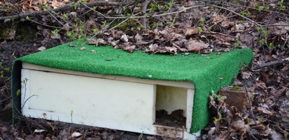 Darmowy domek od Taurona dla jeża MegaZwierz