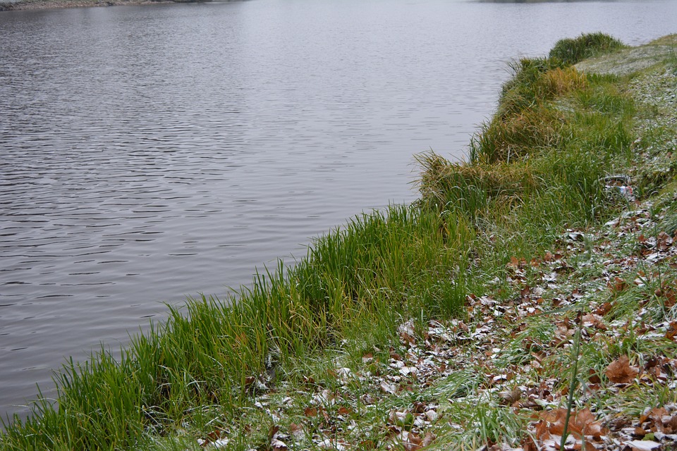 Wspólne sprzątanie: CZYSTY STARGANIEC