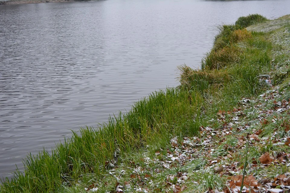 Wspólne sprzątanie: CZYSTY STARGANIEC