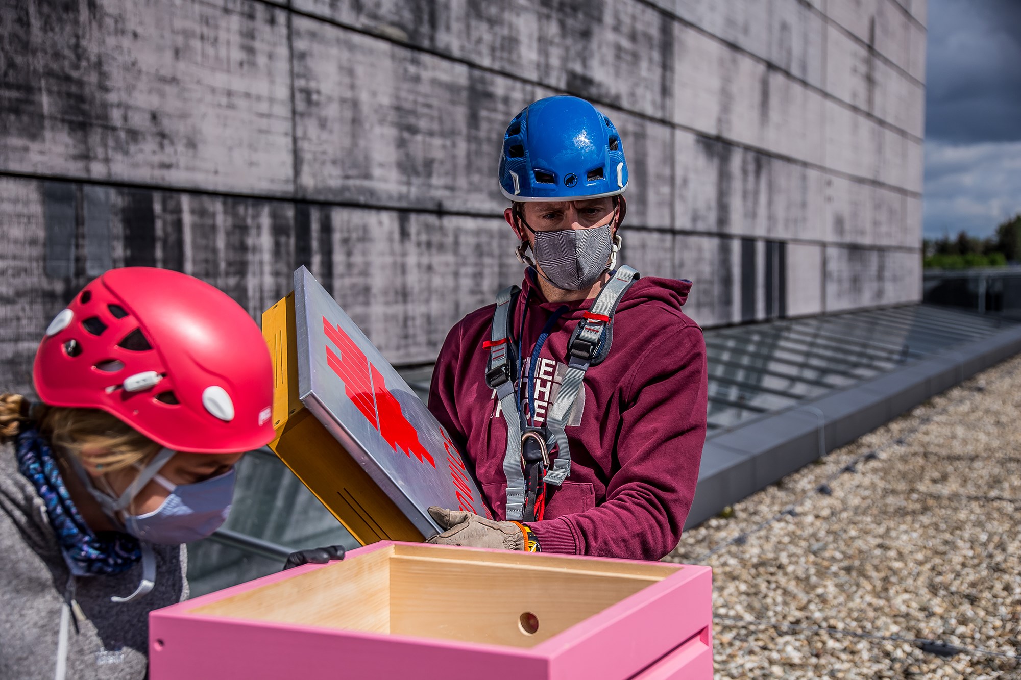 120 tysięcy pszczół zamieszkało na katowickich budynkach!