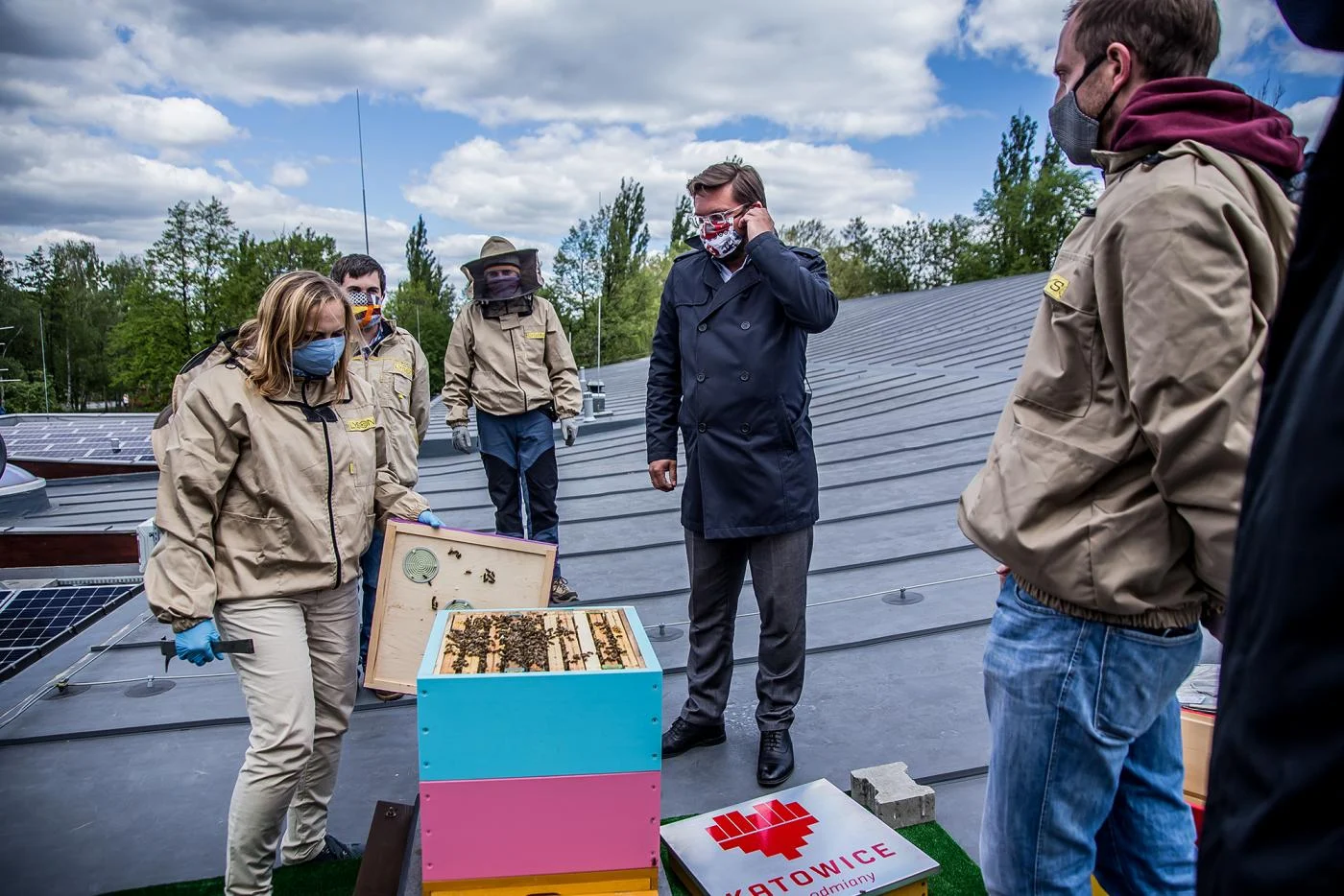120 tysięcy pszczół zamieszkało na katowickich budynkach!