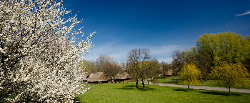 Chorzowski Skansen zaprasza zwiedzających!