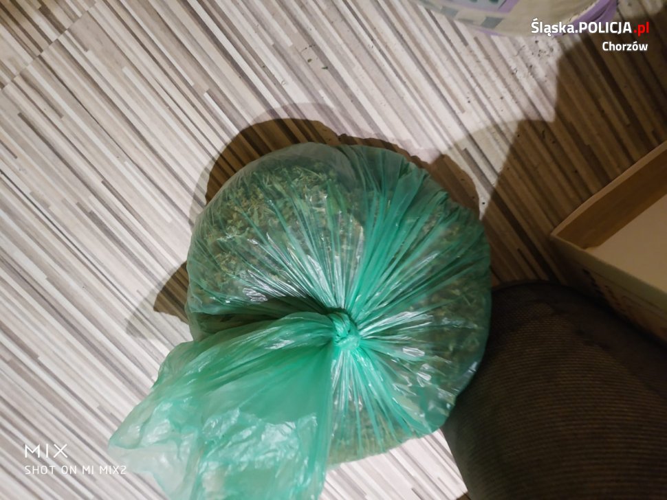 Produkował narkotyki na dużą skalę. 29-latek usłyszał zarzuty