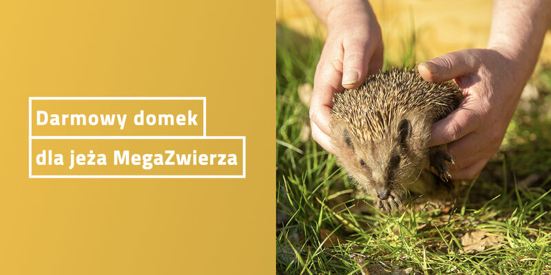 zDarmowy domek dla jeża MegaZwierza. Jak dostać darmowy domek dla jeża?