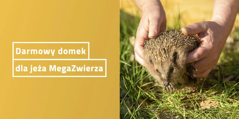zDarmowy domek dla jeża MegaZwierza. Jak dostać darmowy domek dla jeża?