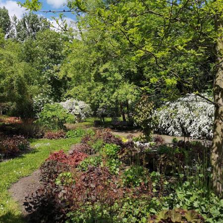 Otwarcie nowego sezonu w Miejskim Ogrodzie Botanicznym