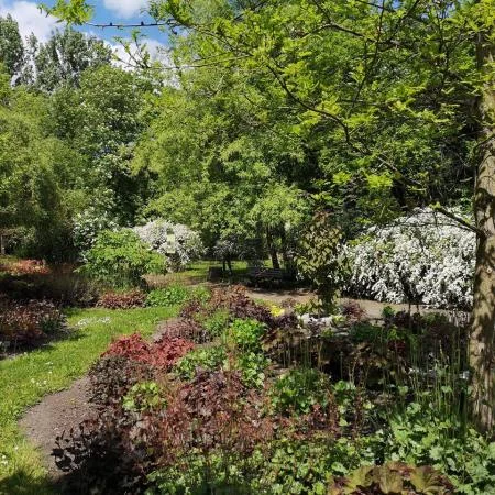 Otwarcie nowego sezonu w Miejskim Ogrodzie Botanicznym