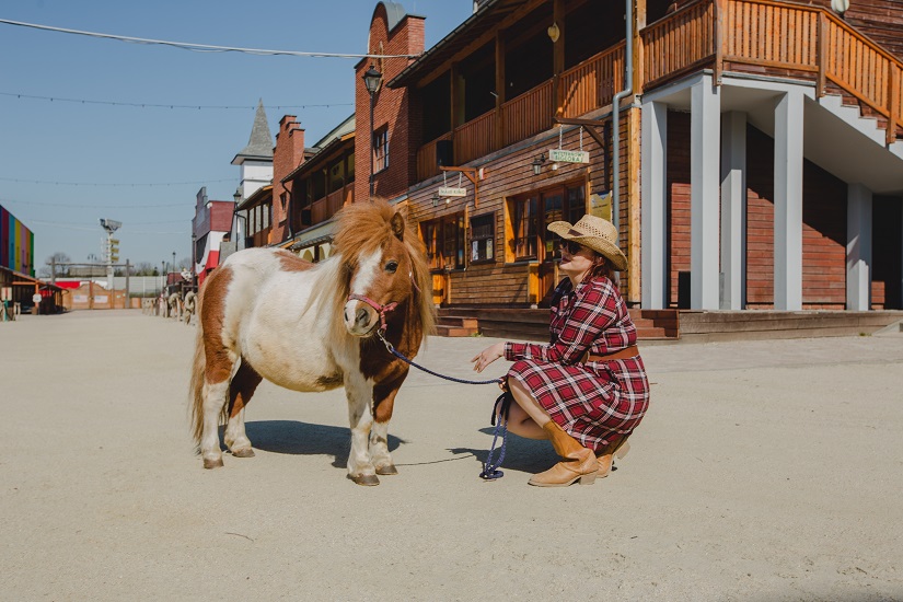 Czas na Leśną Przygodę w Twinpigs!