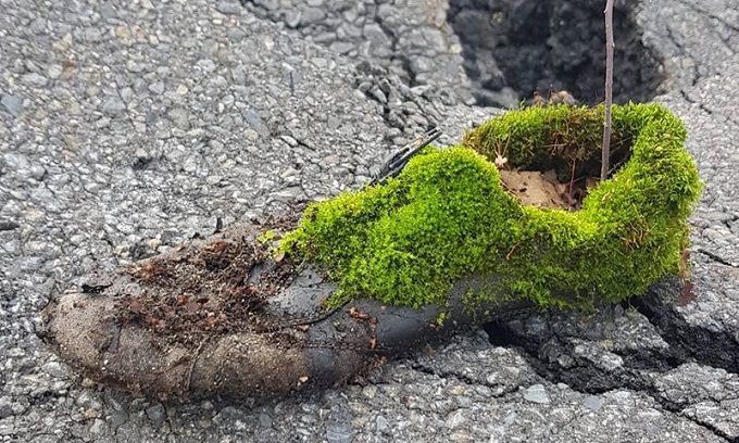 Posprzątaj las z klubem biegowym HRmax Żory